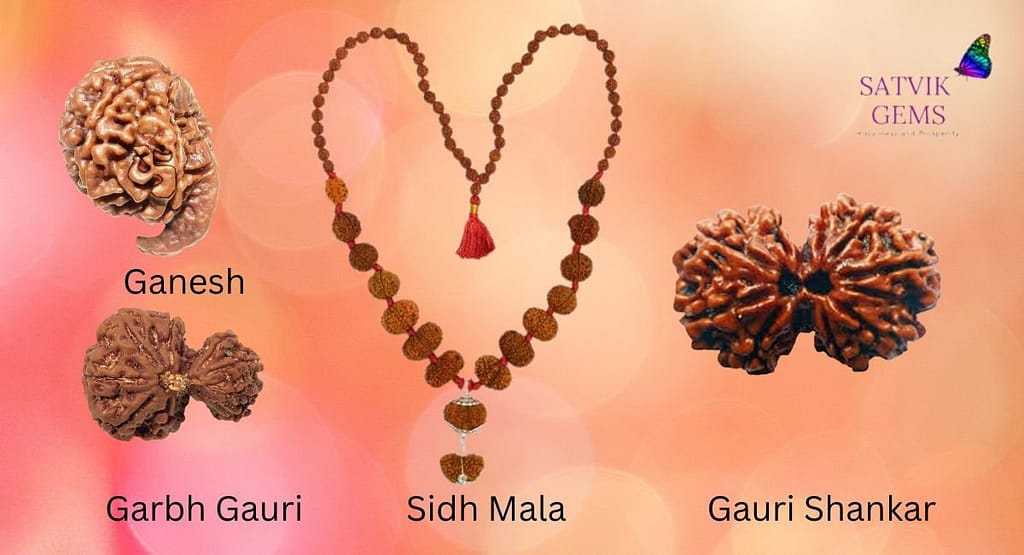 ganesh, gaurishankar, garbh gauri and rudraksha sidh mala