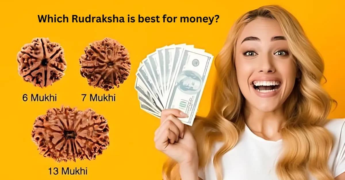 best rudraksha for money 6 mukhi, 7 mukhi, 13 mukhi rudraksha and a girl holding money