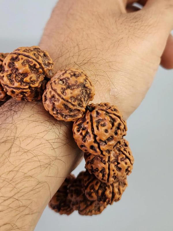 Rudraksha Collector Beads 5 Mukhi Rudraksha Bracelet